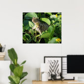 Poster Verborgen Draak Hagedis Australië ZIZZAGO (Thuiskantoor)
