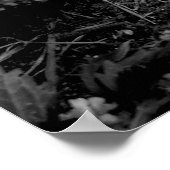 Poster vergeten Baseball (Hoek)