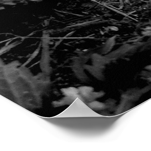 Poster vergeten Baseball (Hoek)