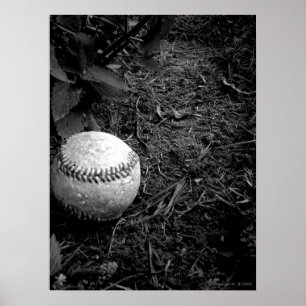 Poster vergeten Baseball