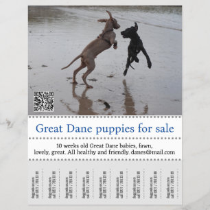 Poster verkoper flyer