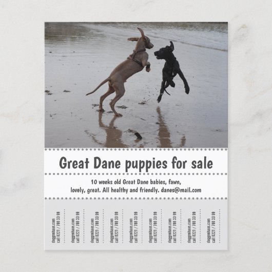 Poster verkoper flyer (Voorkant)