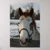 Poster verven (Voorkant)