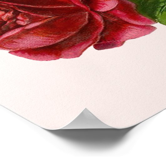 Poster Victoriaans Rozen (Hoek)