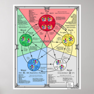 Poster Vijf Elementen Theorie voor Acupressuur