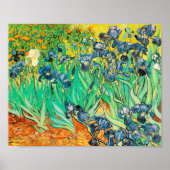 Poster Vincent van Gogh Irises 1889 Blue Flowers (Voorkant)