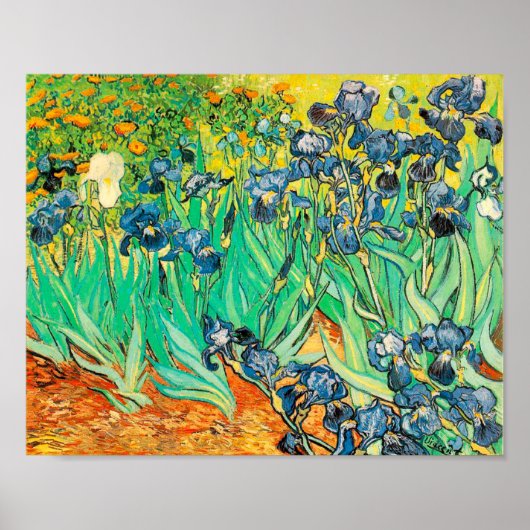 Poster Vincent van Gogh Irises 1889 Blue Flowers (Voorkant)