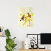 Poster Vintage Ijsvogel Vogels (Thuiskantoor)