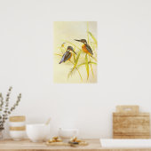 Poster Vintage Ijsvogel Vogels (Keuken)