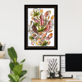 Poster Vintage Kunstenaar Ernst Haeckel Nepenthace (Thuiskantoor)