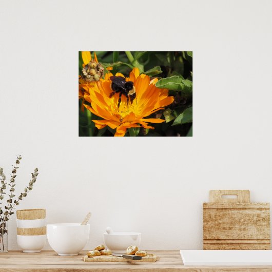 Poster - Voeding in Calendula (Keuken)