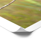 Poster Vogel in een Boom (Hoek)
