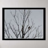 Poster Vogel in een Kale Boom (Voorkant)