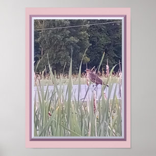Poster Vogel in het Hoge Gras