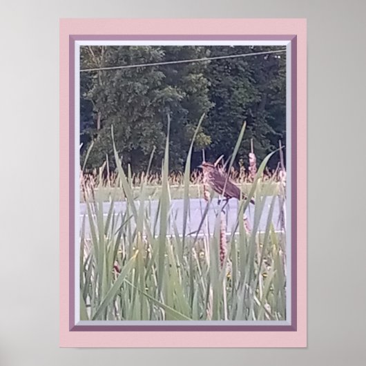 Poster Vogel in het Hoge Gras (Voorkant)