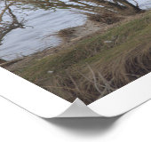 Poster Vogel in het Reservaat (Hoek)