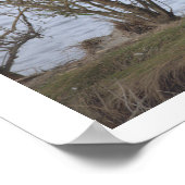 Poster Vogel in het Reservaat (Hoek)