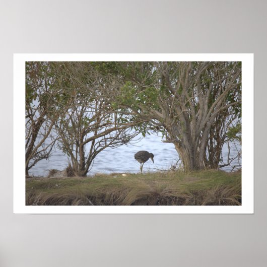 Poster Vogel in het Reservaat (Voorkant)