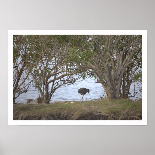 Poster Vogel in het Reservaat (Voorkant)