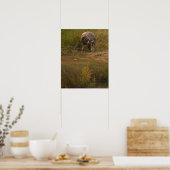 Poster Vogel vangt krab (Keuken)