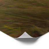 Poster Vogel vangt krab (Hoek)