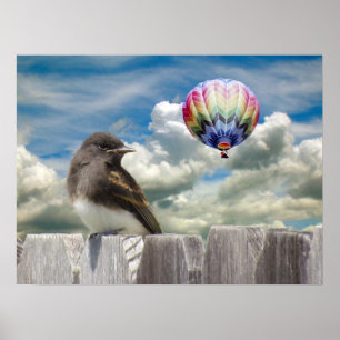 Poster - Vogelballon en luchtballon