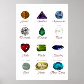 Poster vogeldiagram (Voorkant)