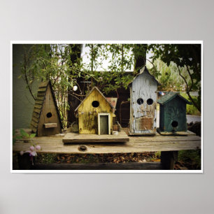 poster Vogelhuisdieren
