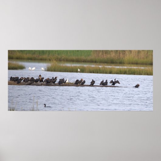 Poster Vogels in het Toevluchtsoord (Voorkant)