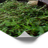 Poster vol (18 x 24 inch) Rijstveld Temple Bali (Hoek)