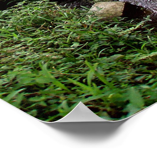 Poster vol (18 x 24 inch) Rijstveld Temple Bali (Hoek)