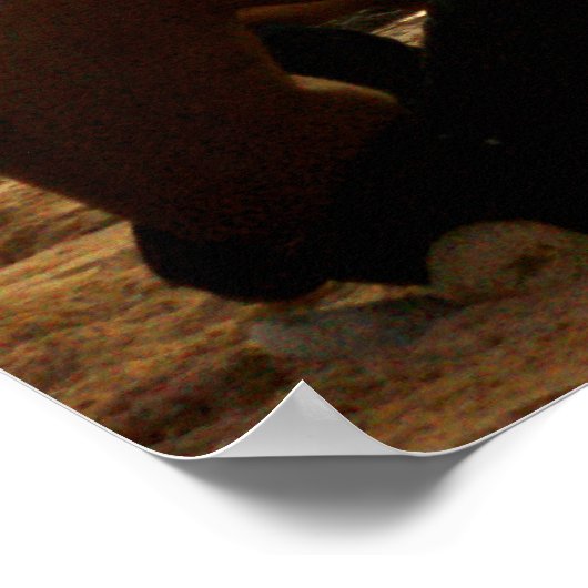 Poster volledig formaat (24 x 18 inch) Padang Beac (Hoek)