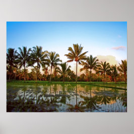 Poster volledig formaat (24 x 18 inch) Palm Trees 