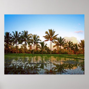 Poster volledig formaat (24 x 18 inch) Palm Trees 