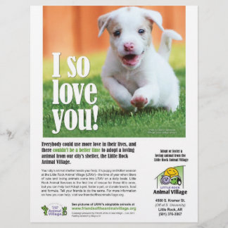 Poster voor adoptie - Little Rock Animal Village Flyer