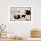 Poster voor afspeelkat (Keuken)