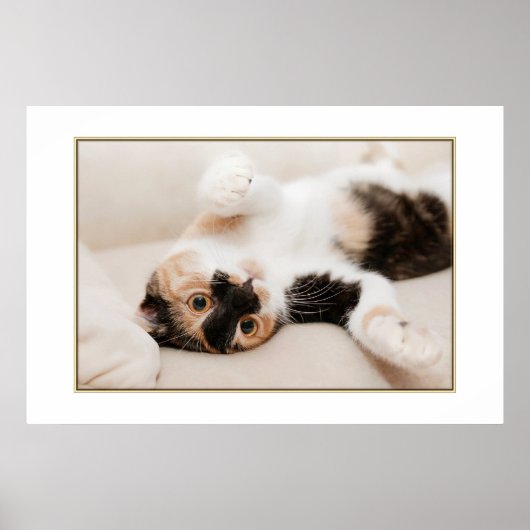 Poster voor afspeelkat (Voorkant)