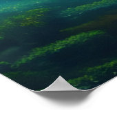 Poster voor alligatormotivatie (Hoek)