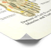 Poster voor anatomie en roet (Hoek)