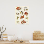 Poster voor anatomie, schouder (Keuken)