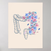 Poster voor anatomie van darmen (Voorkant)