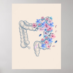 Poster voor anatomie van darmen