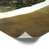 Poster voor artikelgourd — Workshop — Zaden (Hoek)