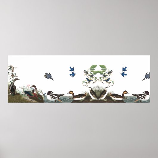 Poster voor audubon collage vogels in het wild lev (Voorkant)