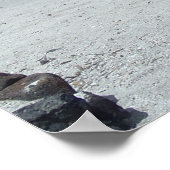 Poster voor avontuur op de strandplaats Hawaï (Hoek)