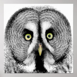 poster voor "baaien"