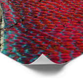 poster voor basketbal in de stad (Hoek)