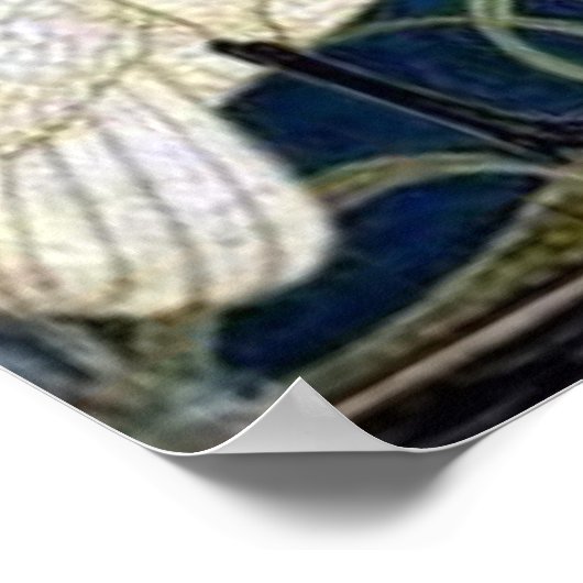 Poster voor behangselpapier voor zwaan, Rush en Ir (Hoek)