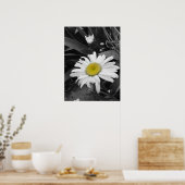 Poster voor bekroonde winnaars-zwart en White Dais (Keuken)