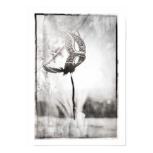 poster voor bladspafdruk